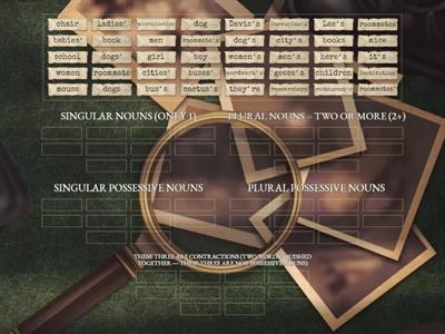 IS IT A SINGULAR NOUN, PLURAL NOUN, SINGULAR POSSESSIVE NOUN, PLURAL POSSESSIVE NOUN, OR CONTRACTION?