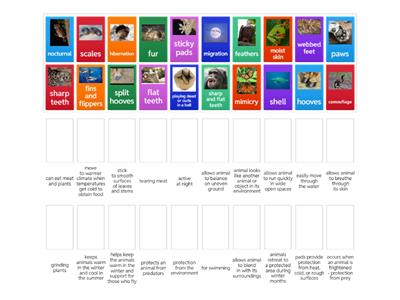 Structures and Functions 5.10A