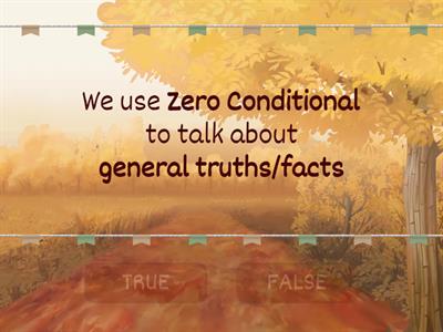 Zero Conditional & First Conditional -  THEORY