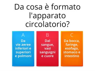 Apparato Digerente, Circolatorio e Respiratorio