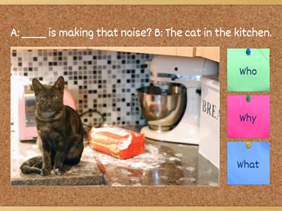 Special Questions  /  WH Question 