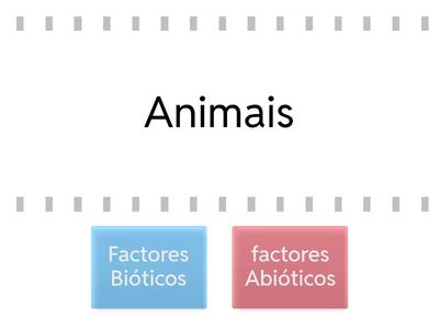 Compoñentes do ecosistema 3º Prim - Galego