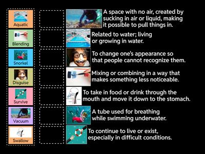 Mata Mata Turtle Vocabulary Words