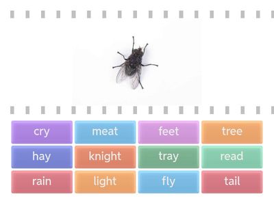 Revising ai ay ee ea igh y