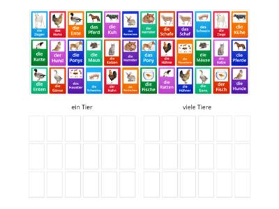 6_1_4. Ein Tier – viele Tiere