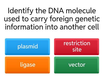 Quiz Recombinant DNA Technology (Higher Biology) 