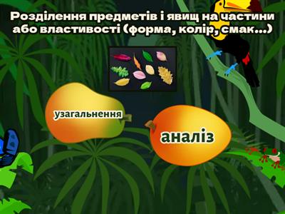 Вища нервова діяльність