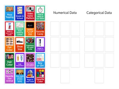 Numerical vs. Categorical Data