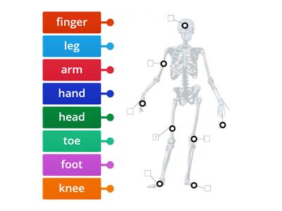 Super minds 1 Skeleton