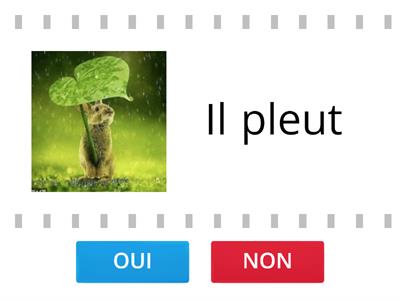 Quel temps fait-il? Oui ou non?