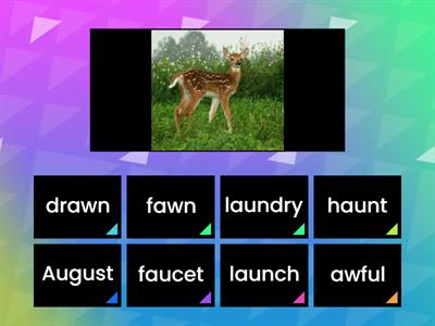 Find the aw au match WordWall
