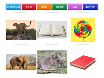 Adjektive Bilder zuordnen 