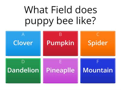 Bee Swarm Entry Exam