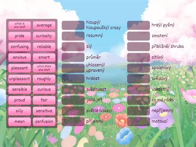 Val 10-12 appearance + feelings