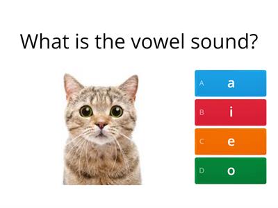 Letter Sounds