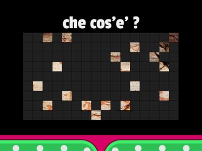 indovina cos' è 