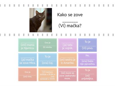 Posvojne zamjenice