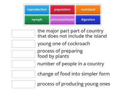 MATCH THE NEW TERMS