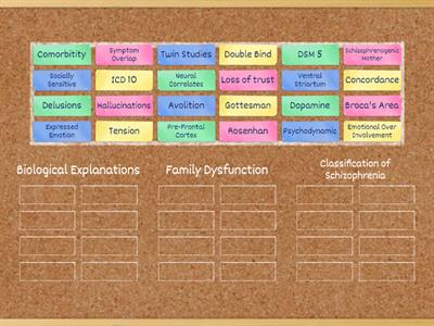 Part 1 of Schizophrenia - Key Term Sort