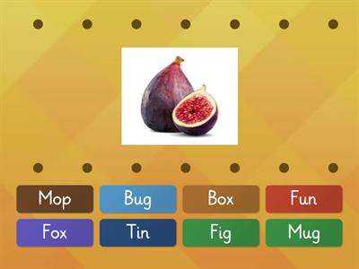 Review final activity short vowel sound i, o,u