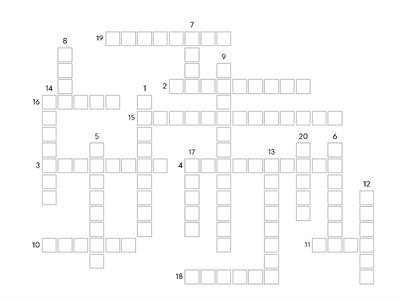  3rd year Ir de Compras 