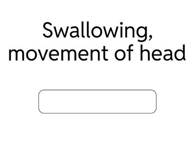 Brain stem functions