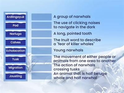 Narwhal: The Arctic Unicorn Vocabulary