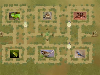 Автоматизація Ш