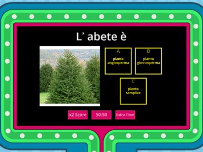 Piante spermatofite: gimnosperme e angiosperme 