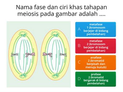 KUIS Sistem Reproduksi pada manusia-IPA Kelas 9