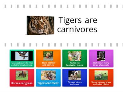   Animals and What They Eat - Find the Match