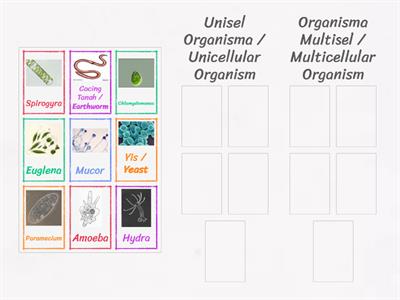 Sains Tingkatan 1 : Organisma Unisel & Multisel