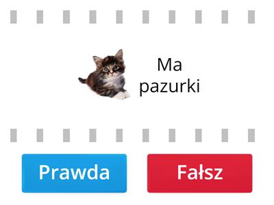 Zwierzęta_prawda czy fałsz?