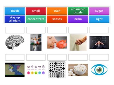 Caring for your brain. On Screen 2 Unit 4. Vocabulary