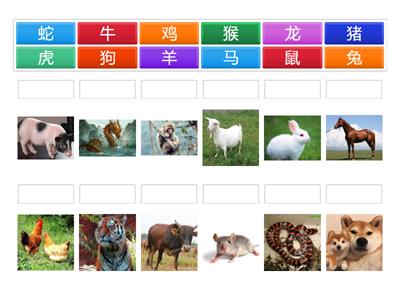 y4 12 zodiac animals