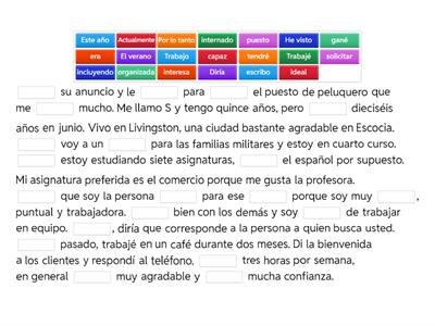 ST Job Application Nat 5 