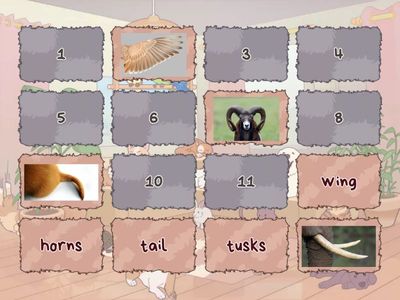 Klasa 3_S&H3_unit 2_Animal body parts