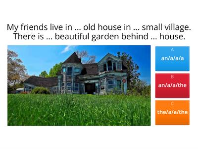  A / an / the/ no article