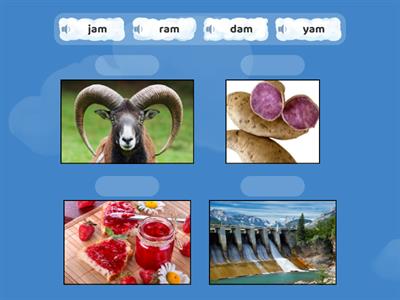 words that end with -am