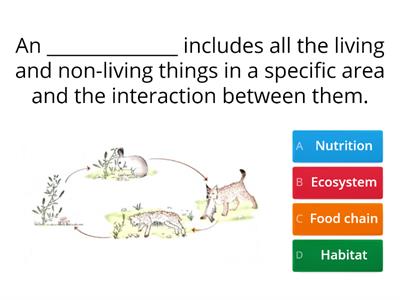 CAX KS4 Food chains