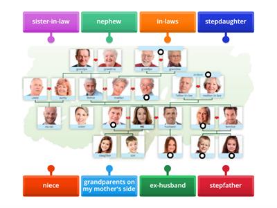 1.2 Speakout Family tree