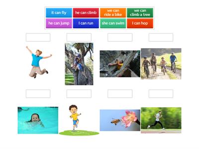 climb, run, jump, swim, ride a bike, walk, fly, hop