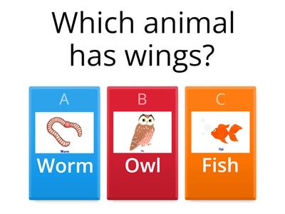 CM2- Science 1 Quiz