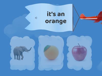 indefinite articles vowel sounds (an)