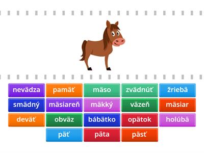 SJL1 - Hláska a písmeno ä - Nájdi zhodu