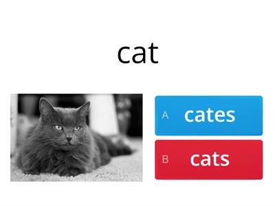 Plural nouns