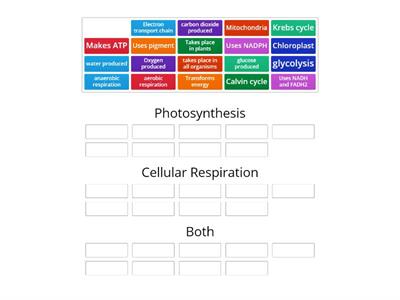 photo/cell resp compare/contrast