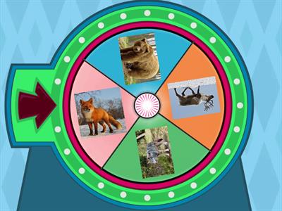 дикие животные