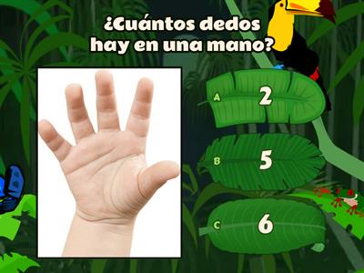 Concurso de cálculo mental para niños