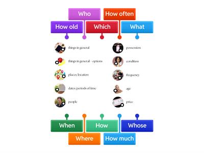 Wh-Questions - Reading Practice 02